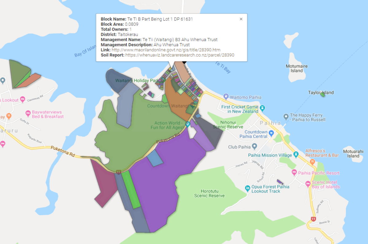 Maori Maps Waitangi Catchment