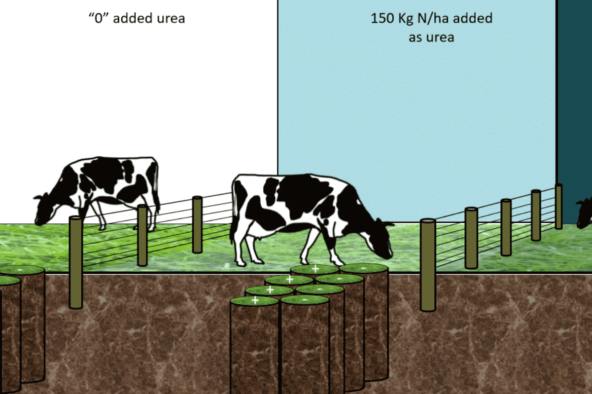 Innovative Agricultural Microbiomes diagram Innovative Agricultural Microbiomes diagram