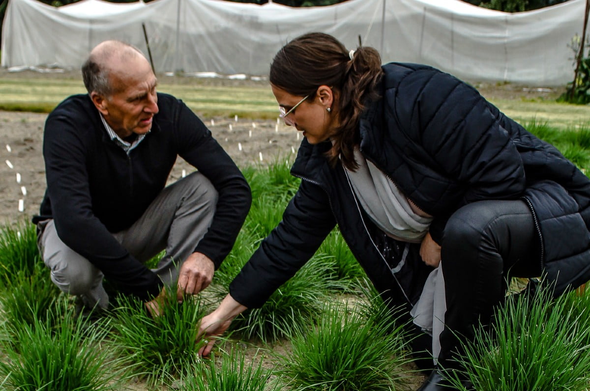 Nick Pyke and Susan Goodfellow, Leftfield Innovation