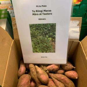 Pā to Plate market garden 1