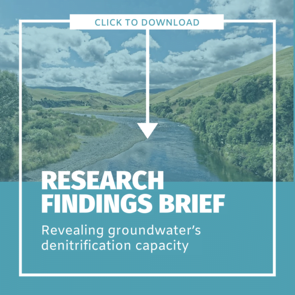 Click to download Research Findings Brief