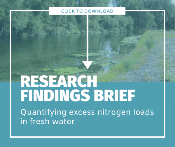 Direct Download of Research Findings Brief: Quantifying Excess N