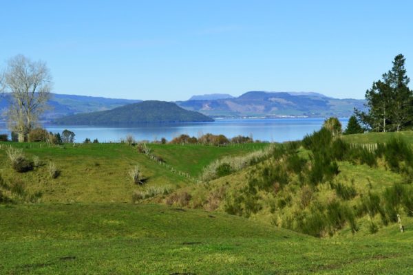Te Arawa farm, showing view across farmland to lake in Rotorua region of New Zealand. Image courtesy of Rotorua Land Use Directory / TAPS / Bill Young