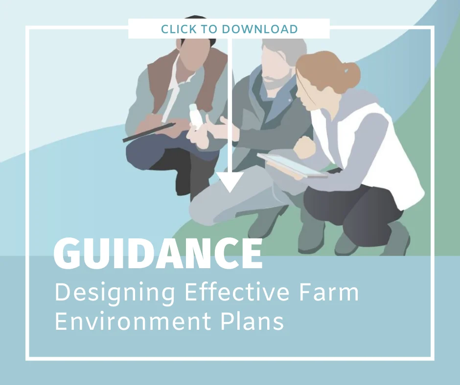 Guidance Effectivefeps