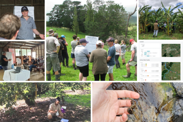 Collage of photos from Rural Professionals Fund projects (2020 round)