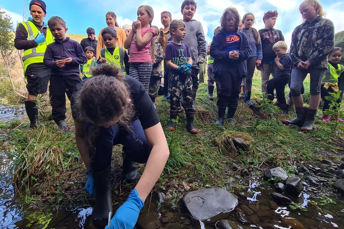 Norsewood and Districts’ School use Te Miro Farm as an outside classroom