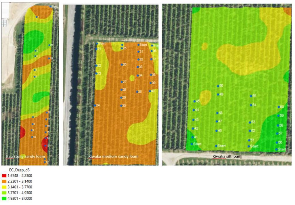Figure 1: Electromagnetic (EM) survey mapping of the Motueka orchard showing variation in soil type as indicated by electrical conductivity (salt concentrations)