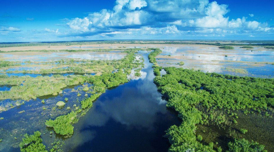 Aerial Sunset View Of Everglades Swamp In Florida. Creidt: <a href='https://www.123rf.com/profile_jovannig'>jovannig</a>