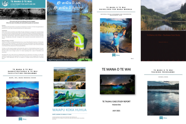Samples of covers from Te Mana o te Wai case studies and reports