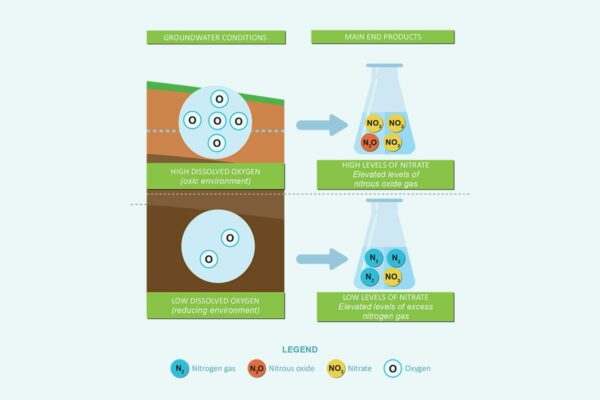 Benign Dentrification