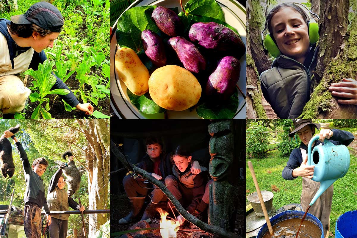 Early Maori Agriculture
