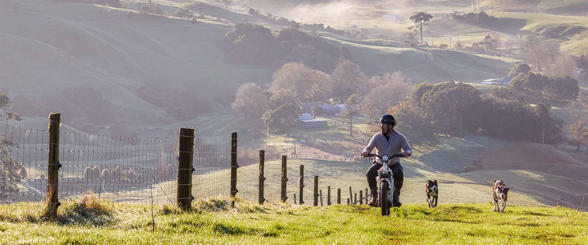 Farmer On Motorbike With Dogs