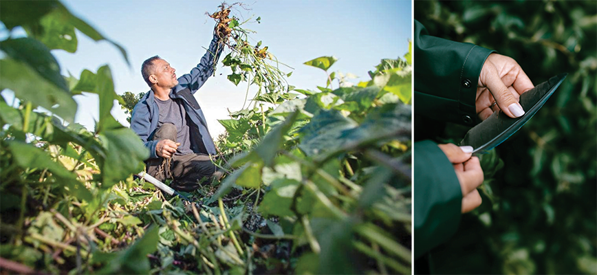 Project co-lead Glen Skipper, working in the māra located at Katere ki te Moana Marae.
