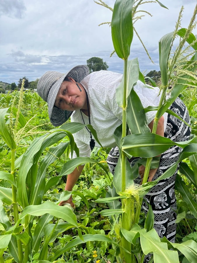 Paula Hohua Whirinaki