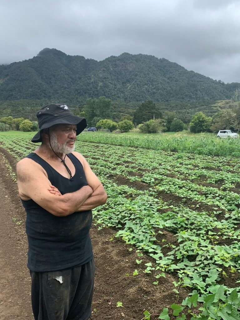 Rereata Matkiha (Ngapuhi, Temahurehure) at Pirikotaha Gardens, Waima