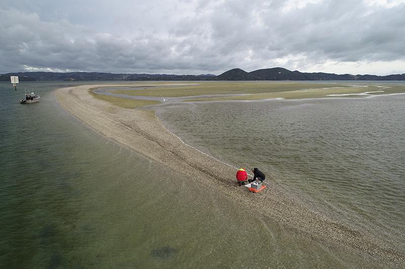 The Whangārei Harbour Catchment is on the south-east coast of Northland and covers about 300 square kilometres. Photo: Jack Massuger, NIWA