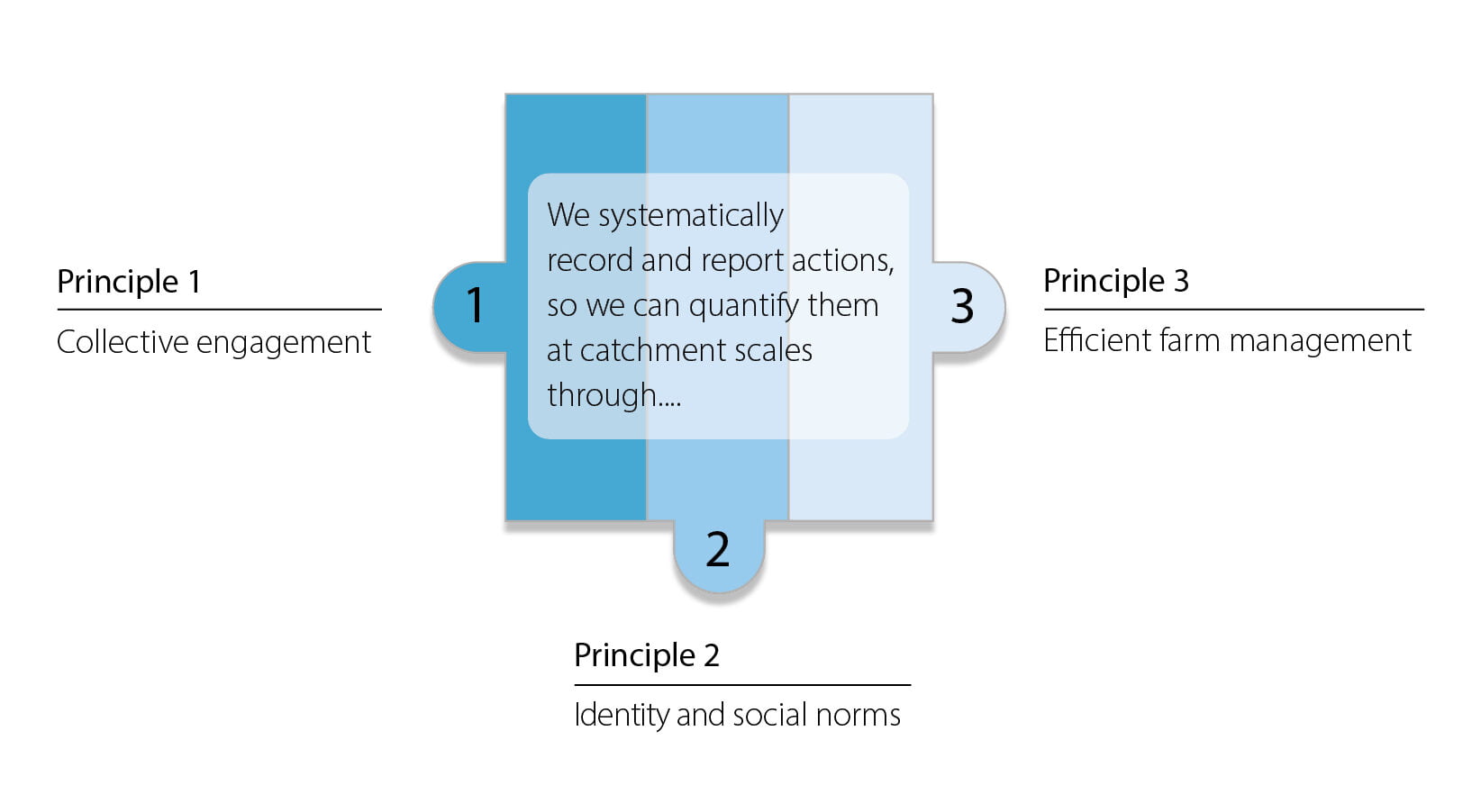 Doehring Review Figure3