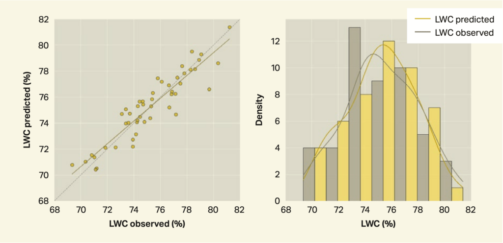 Screen Shot 2022 12 16 At 14.51.50