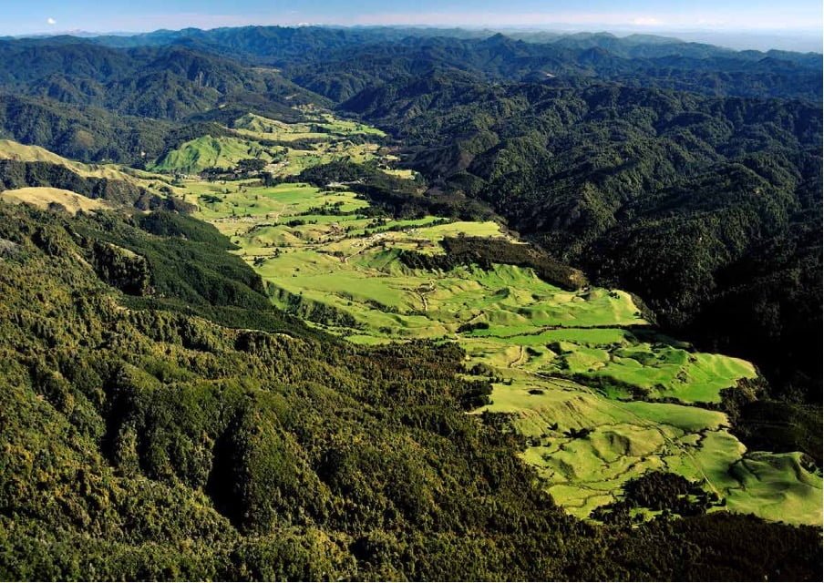 Manawa Honey is from deep in Te Urewera forest Ruatahuna, Te Manawa o te Ika-a-Maui. Photo: Manawa Honey