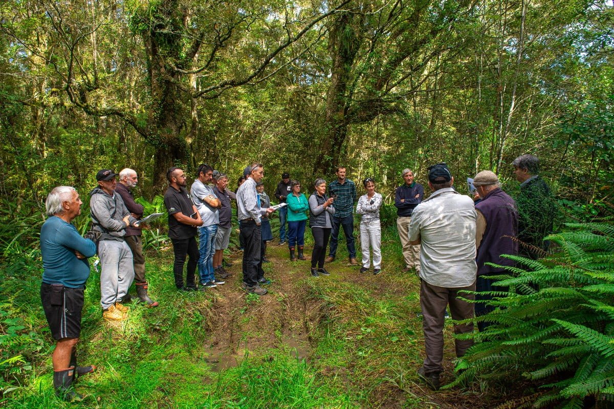 Collective catchment catchment management workshop, March 2021. Photo: Natwick Photography