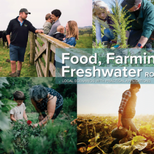 Roadshow Marlborough