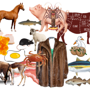 Protein Futures What Products