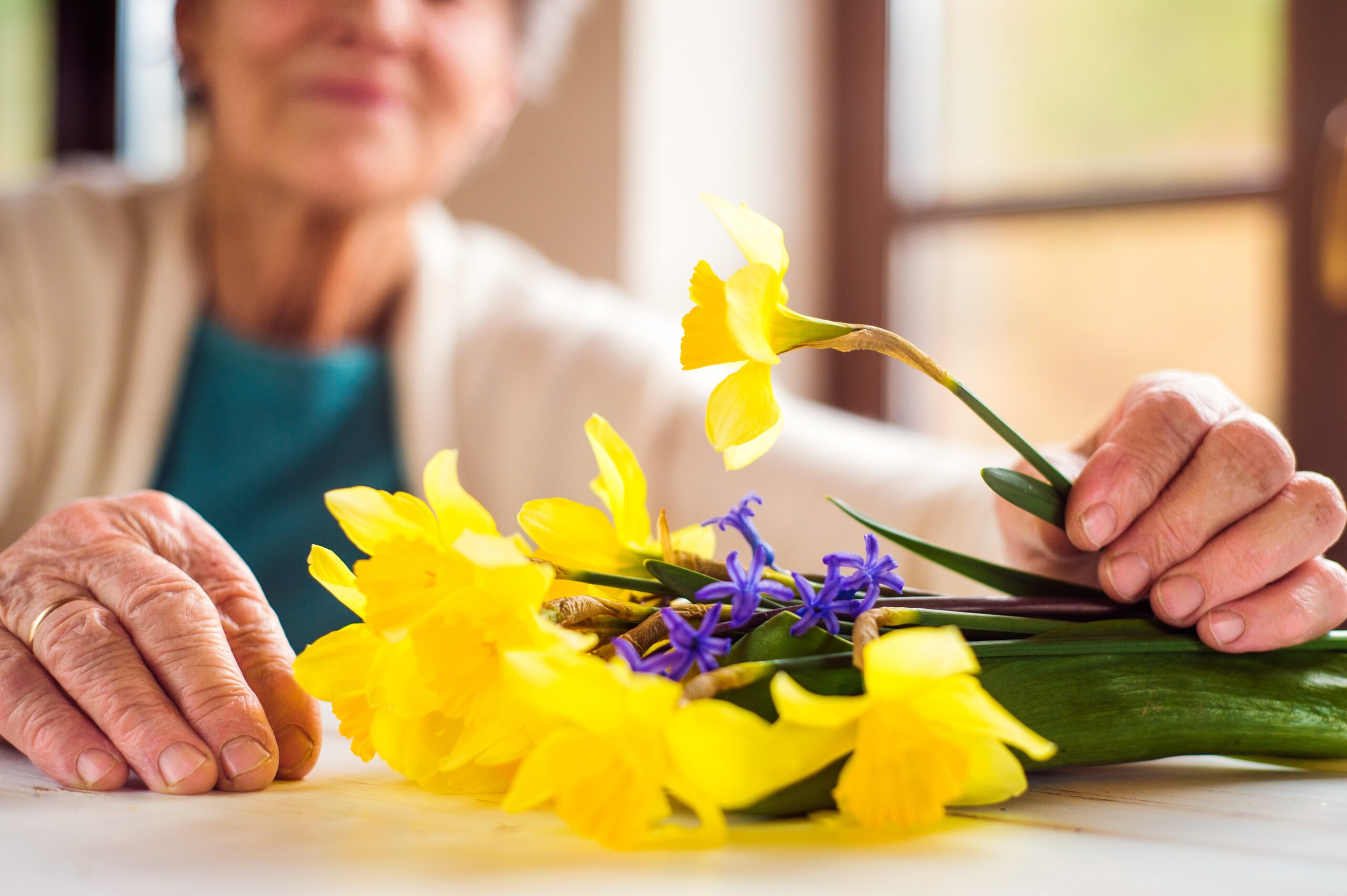 Daffodils