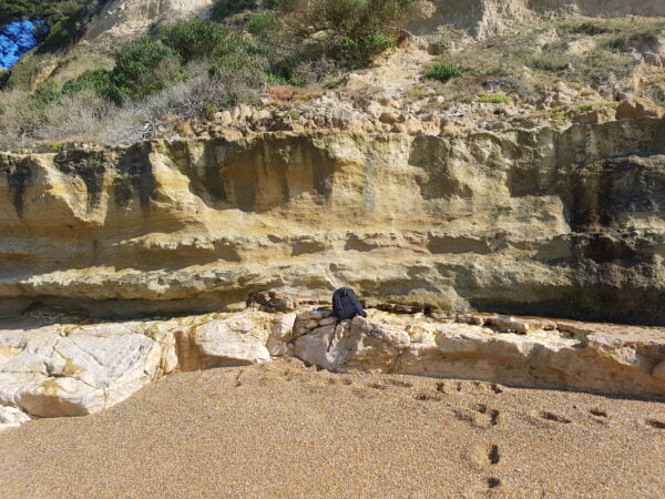 Gees Beach South