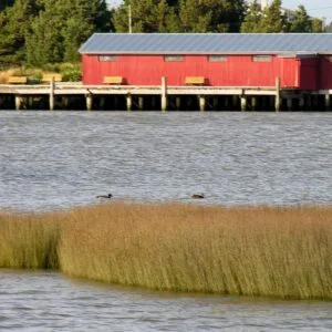 Phillip Capper Flickr 27758139 1ecd3b9835 K