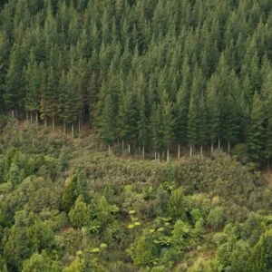 Shutterstock 2300977205 1200x800