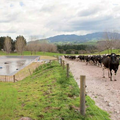 076 Dairynz Askpermission Effluent Storage Ponds Pod 400sq 076 Dairynz Askpermission Effluent Storage Ponds Pod 400sq