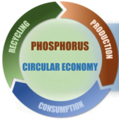 Phosphorus Diagram Phosphorus Diagram